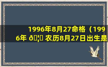 1996年8月27命格（1996年 🦋 农历8月27日出生是什么命 🦢 ）